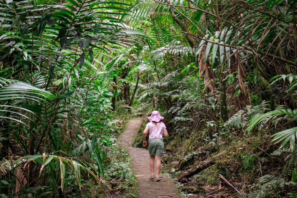 A young girl hikes along a path in El Yunque National Forest in Puerto Rico, one of the best winter vacations for families.